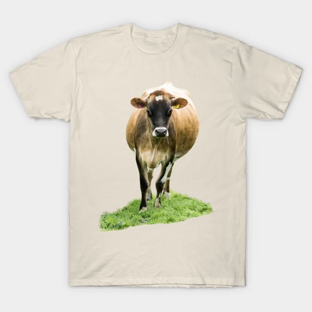 Jersey Cow T-Shirt by Jane Stanley Photography